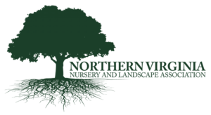 NVNLA Logo